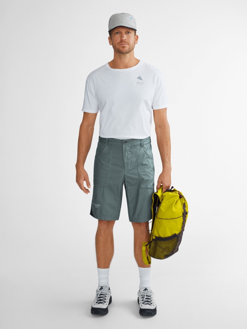 Men Klättermusen Ansur Shorts Blue | 89567INBW