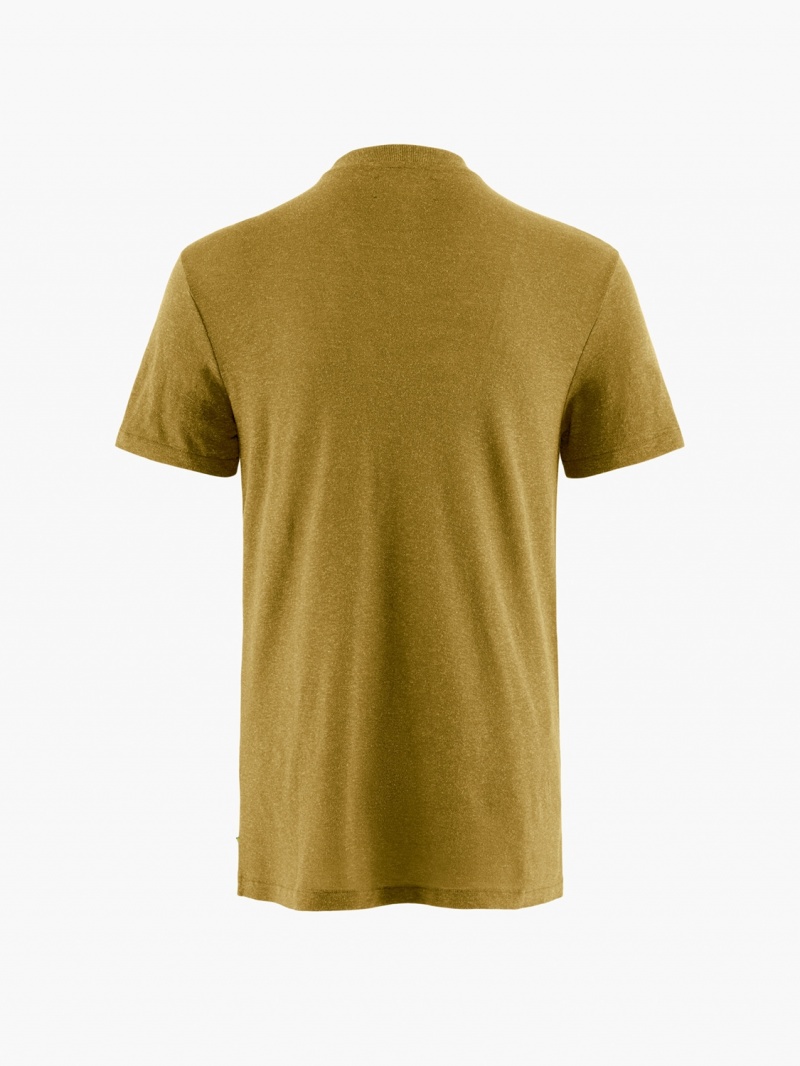 Men Klättermusen Aurvandil SS Tee M's T-Shirt Green | 19603BDZW