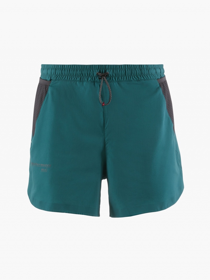 Men Klättermusen Bele Shorts Blue | 73254PVAR