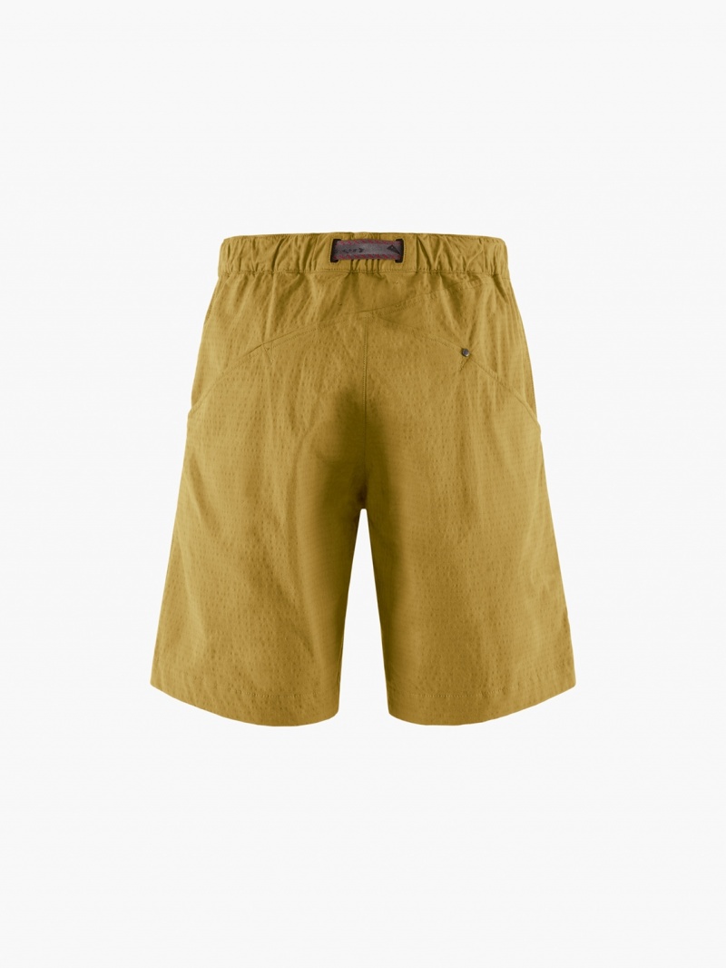 Men Klättermusen Ivalde Shorts Green | 20691GSZU