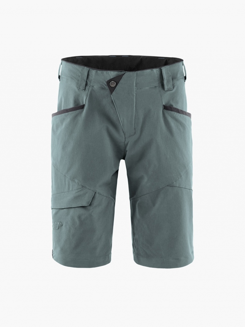 Men Klättermusen Magne 2.0 Shorts Blue | 60172CABP