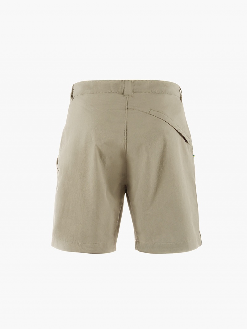 Men Klättermusen Vanadis 3.0 Shorts Silver Green | 13280QOXA