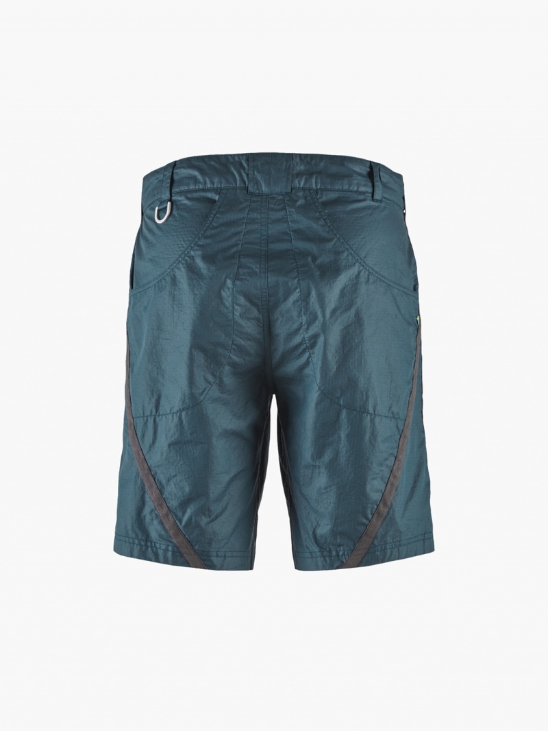 Women Klättermusen Ansur Shorts Blue | 86193SBNH